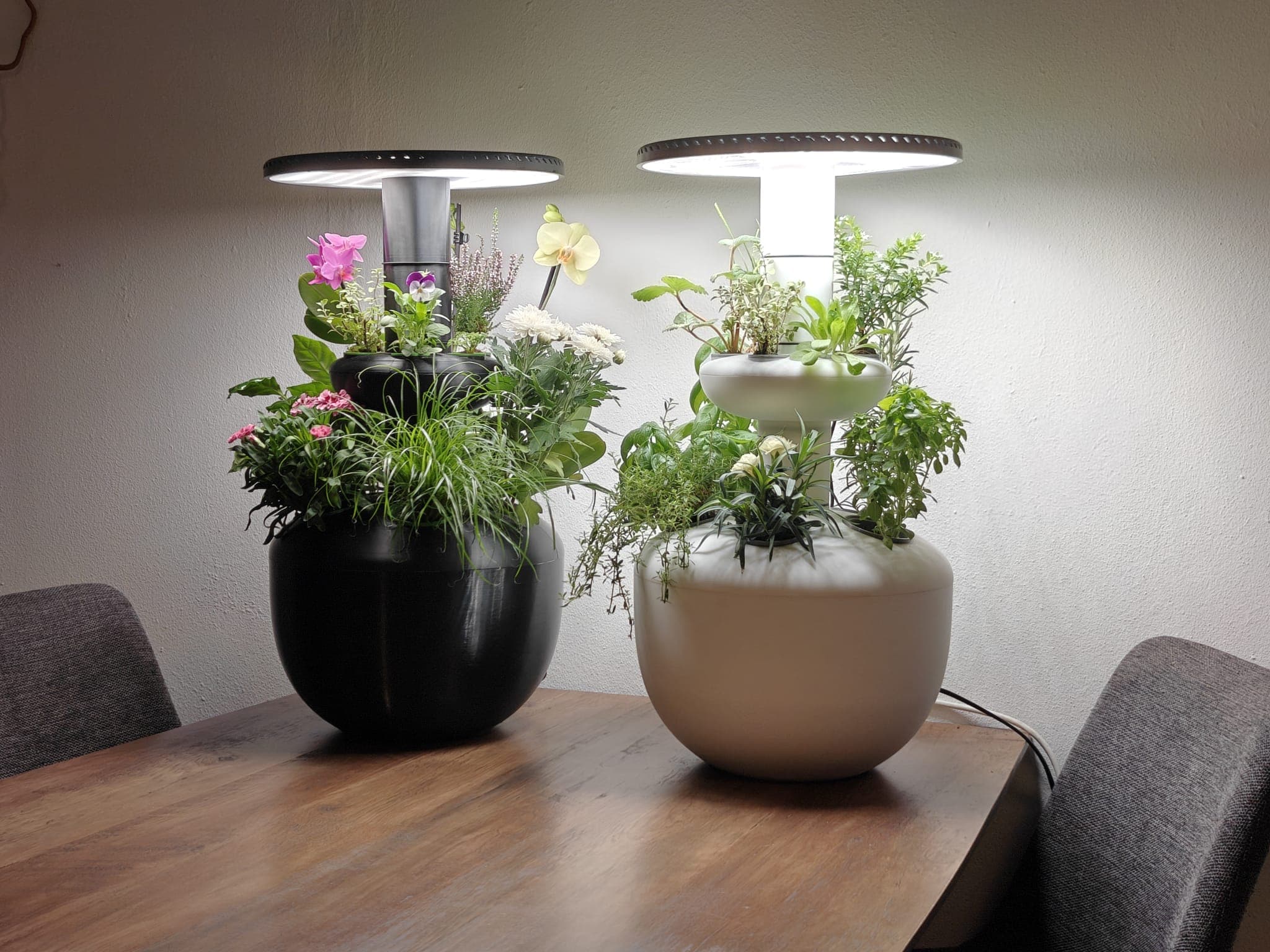 Plantom Garden product